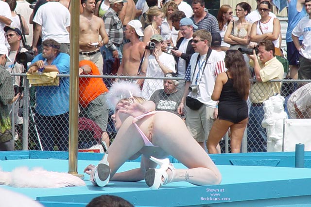 Pic #1Nap 2005