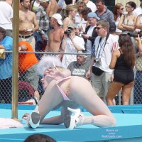 Pic #1Nap 2005