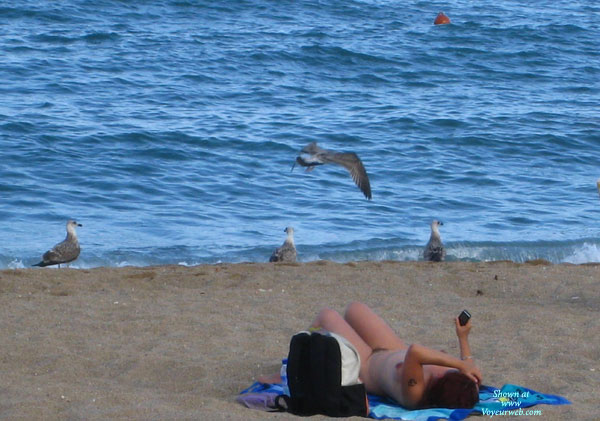 Pic #1 Beach Voyeur:&nbsp;*NW Beach Voyeur: Beach Scenes 5