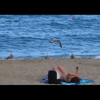 Pic #1 Beach Voyeur:&nbsp;*NW Beach Voyeur: Beach Scenes 5