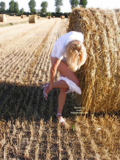 Pic #1Fields Of Gold