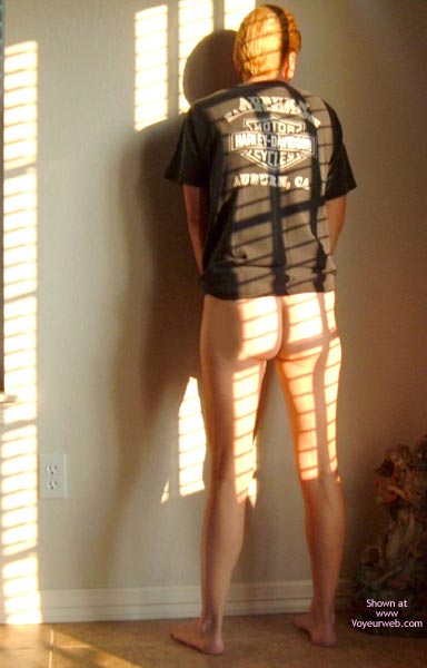 Pic #1Sunlight and Shadows