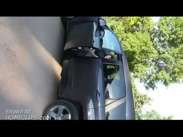 Pic #1My Favorite Toy