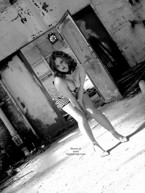 Pic #1Zwergtiger Meets Industry