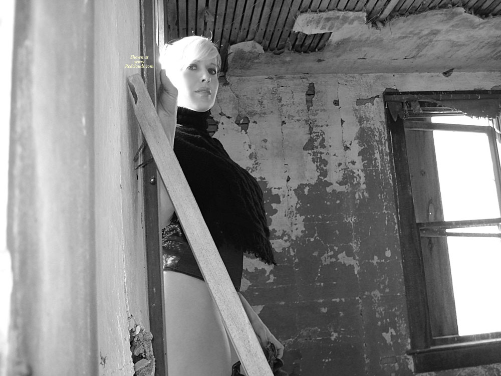 Pic #1All American Angel Back