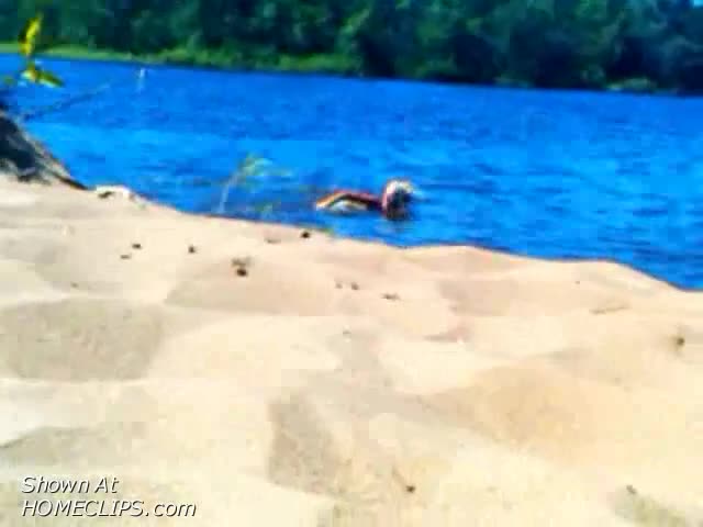 Pic #1Lake Swim