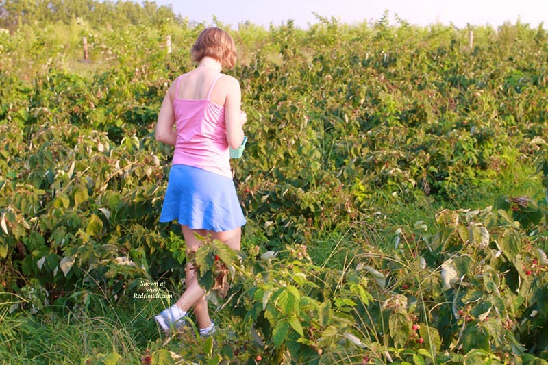 Pic #1*HL Sxl: Pick Your Own