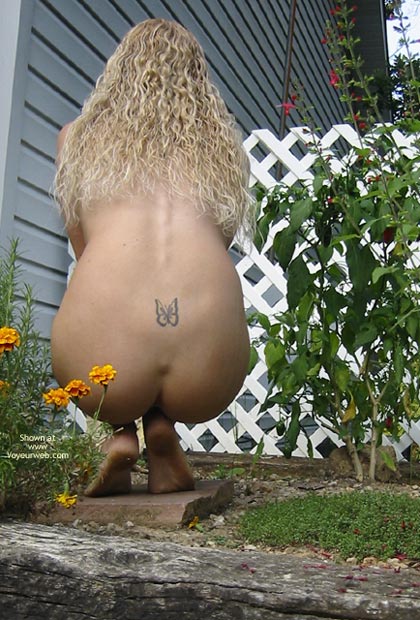 Pic #1Althea Gardening