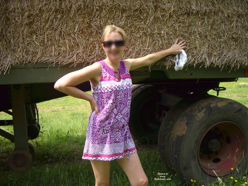 Pic #1Last Of The Summer Days