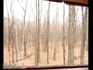 Pic #1M* Hunting Fun!