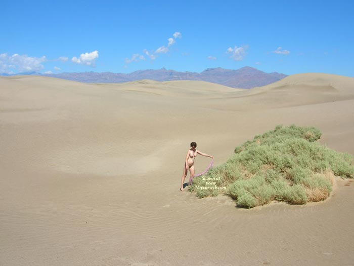 Pic #1Willow Walks The Dunes Part 2