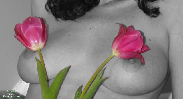 Pic #1Colorless Tulips