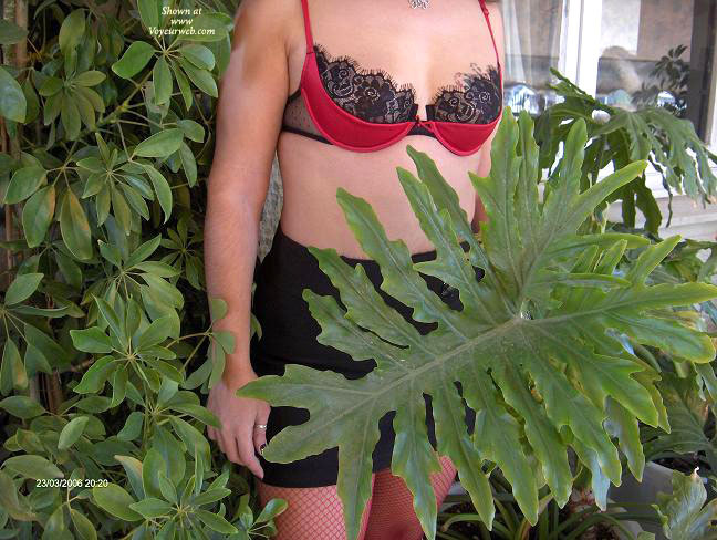 Pic #1 In Greek Nature