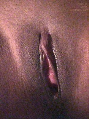 Pic #1Rosa and her Toy