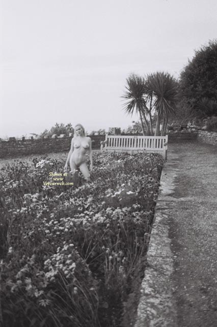 Pic #1A Walk In The Park......