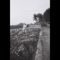 A Walk In The Park......