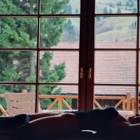 Pic #1 Solo Of Madame M. In The Window Of A Hotel In Black Forest