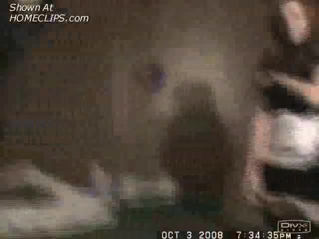 Pic #1French Maid Nite