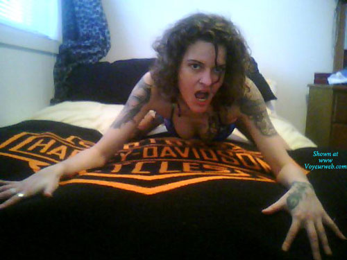 Pic #1Bikini Girl The Teasing