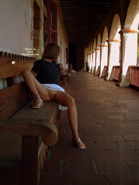 Pic #1Bee Goes Siteseeing