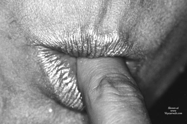 Pic #1fi - A Dissertation On The Finger