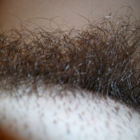 Letting It Grow