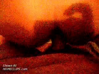 Pic #1Ultimo Anal