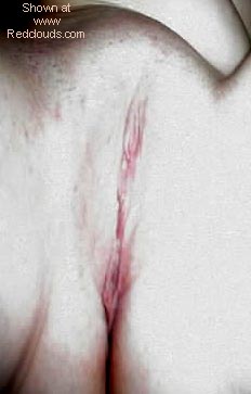 Pic #1A Few of my Wife