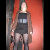 Showing Off For Neighbours