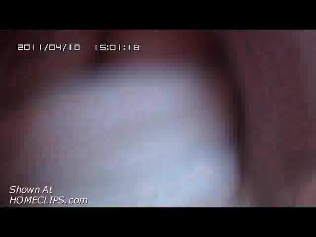 Pic #1Hd Cam For Mary