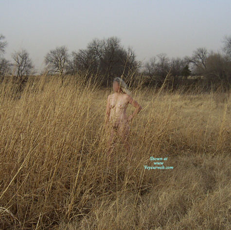 Pic #1Field Of Dreams