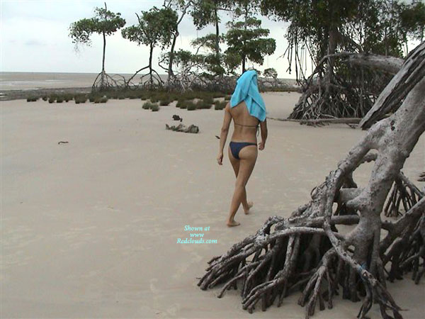 Pic #1Passionate Sex On The Beach