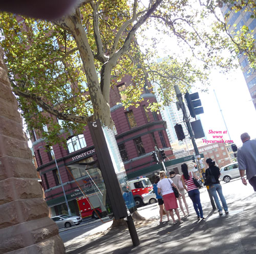 Pic #1One Sunny Day In Sydney