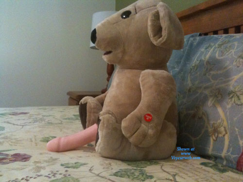 Pic #1Jeni Where Did Ted E Bear Go ?