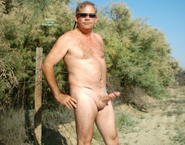 Pic #1M* Barbed Wire Collection