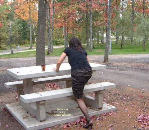 Pic #1Day In The Park