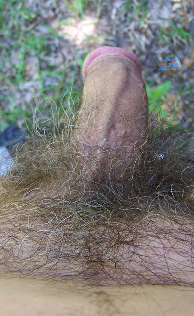 Pic #1Hard Cock In Yard