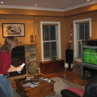 Pic #1 Wii Fun