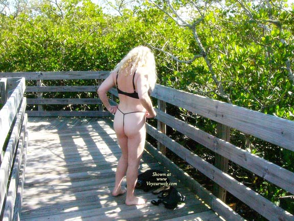 Pic #1A Walk In Nature