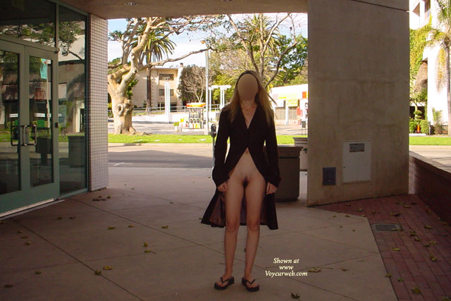 Pic #1Desert Flower At The Library