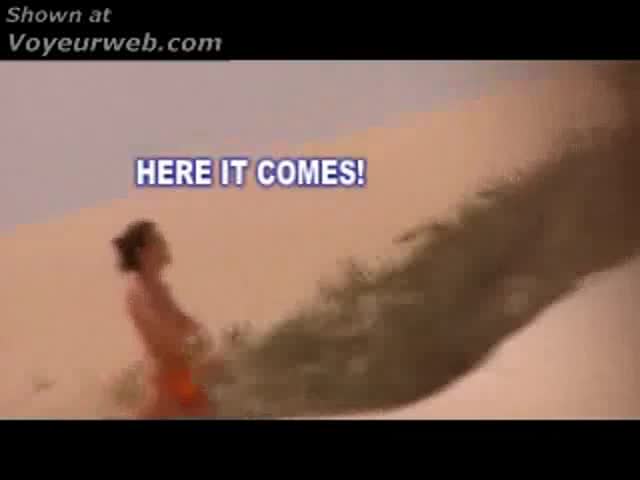 Pic #1Sandfly Project Tweet Reloaded