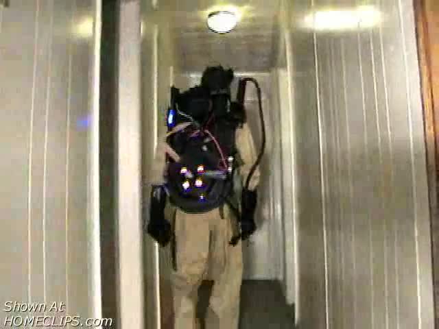 Pic #1Ginger And Jasper Playing Around