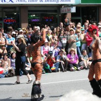 Pic #1 More Van Pride