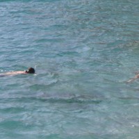 Pic #1 Southern Crete