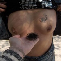 A True Story In Greek Nature 2