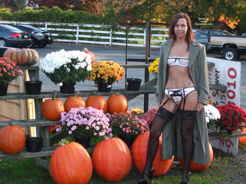 Pic #1Pumpkin Patch