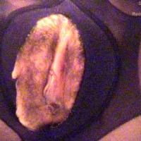 Pic #1Susanna Tutta Panna 2