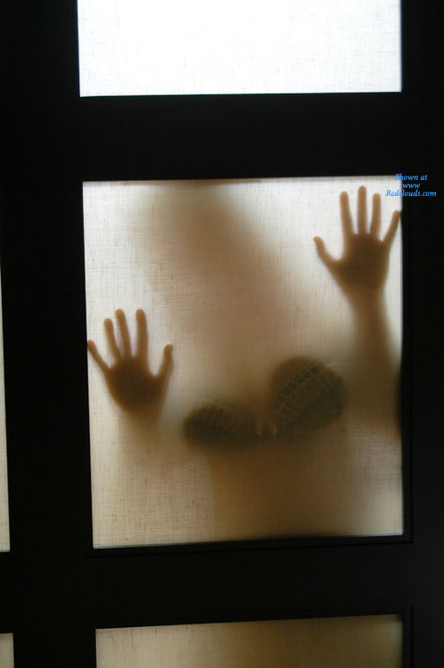 Pic #1Behind The Screen