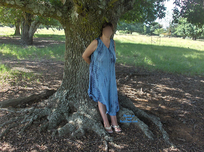 Pic #1Fun In The Woods