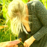 Pic #1 In The Mice Field